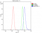 Anti-SNRPN Antibody Picoband™ (monoclonal, 6F12)